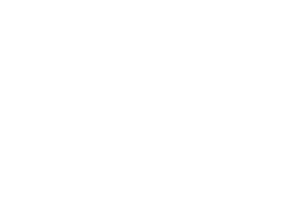 logo-faber
